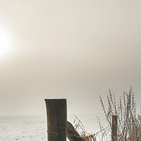 image18