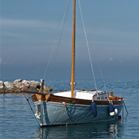 image19
