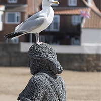 image25