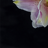 image 01